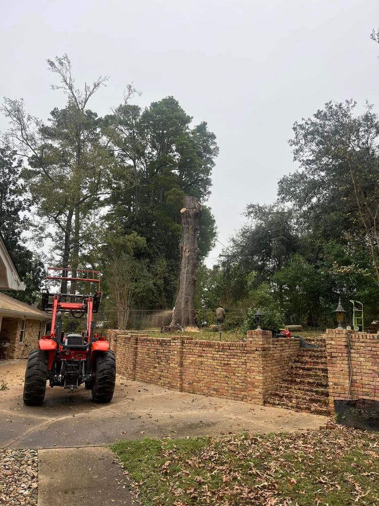 All Photos for JC Land and Tree Service in Kilgore, TX