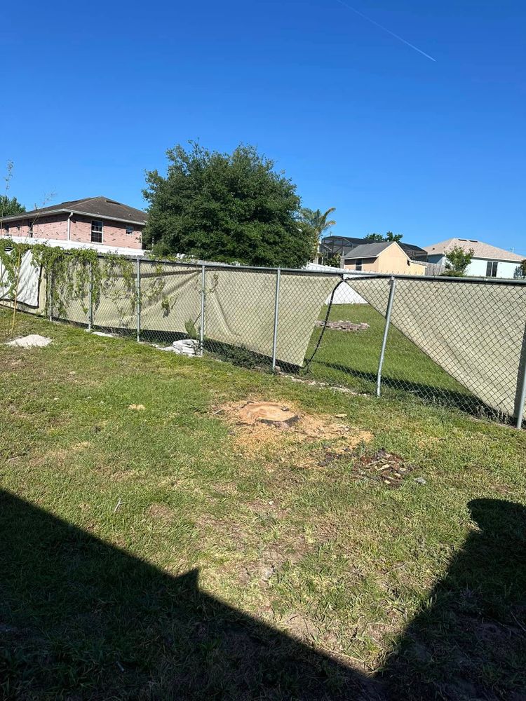 Tree Removal for Narrow Path Tree Service in Deland, FL