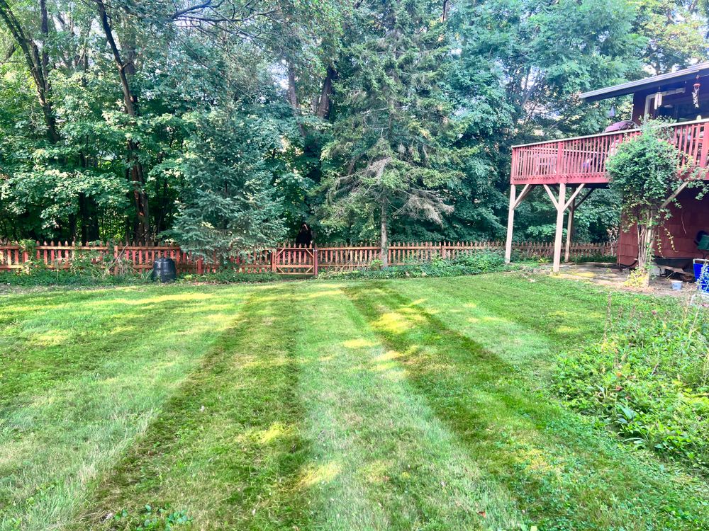 Lawn Care for LJ Lawn & Property Maintenance, Inc. in Cold Spring, New York