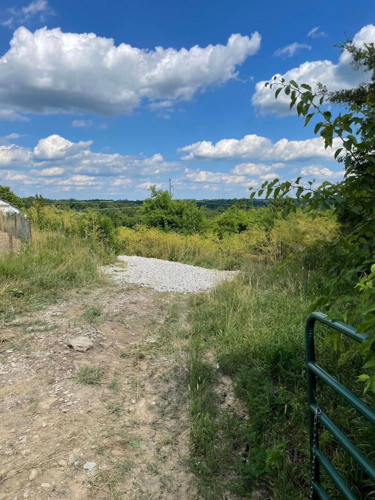 Land Clearing for Patterson Excavation in Dry Ridge, KY