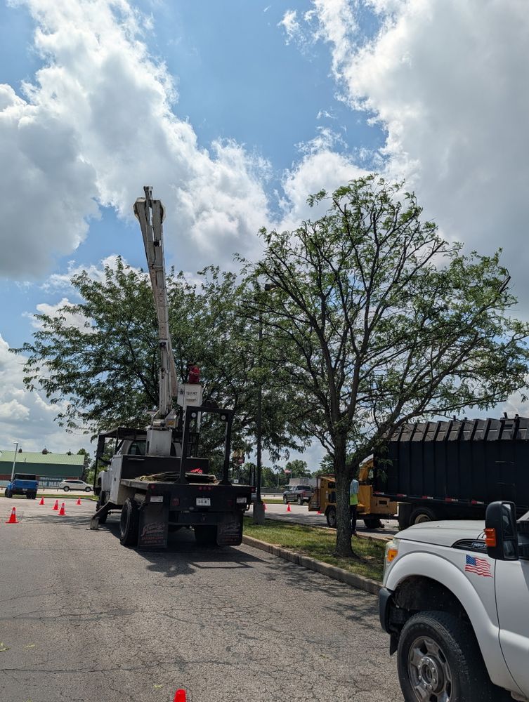 All Photos for Lightning Tree Service in Corydon, IN
