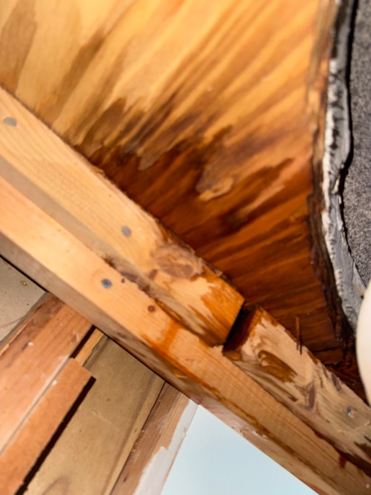 All Photos for Surplus Public Adjusters in Miami-Dade County, FL