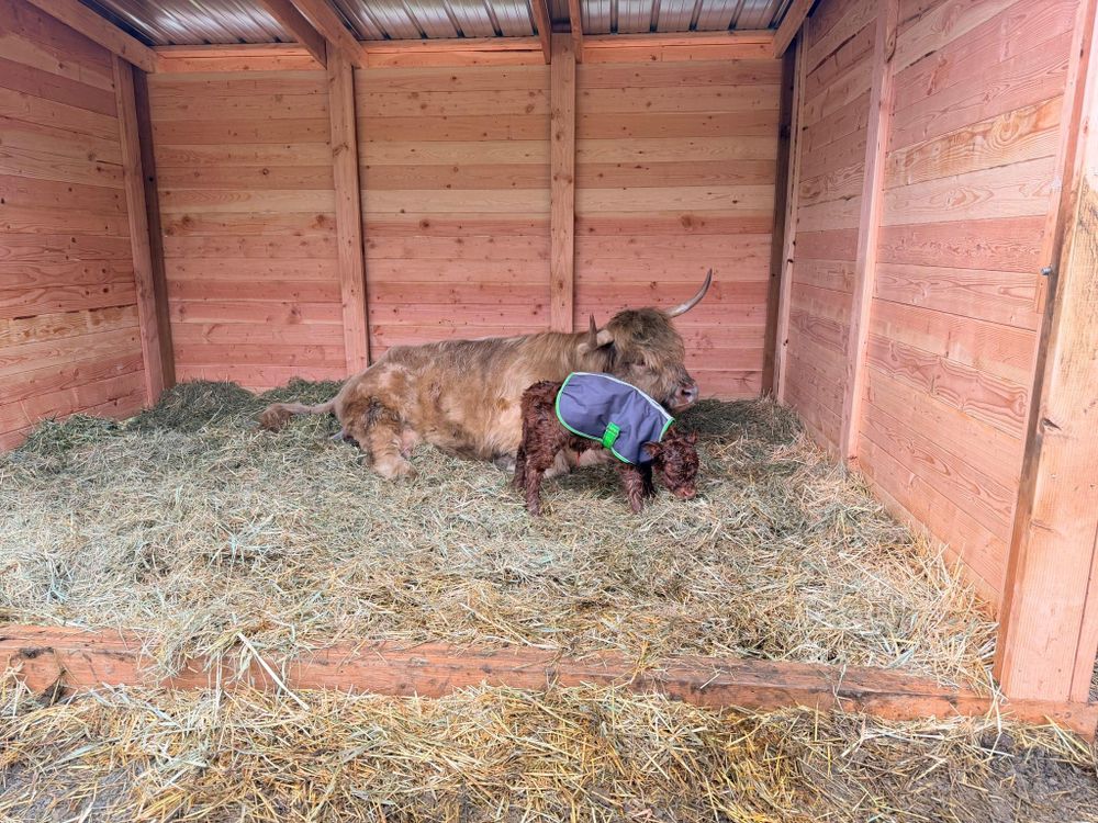 Fencing for Oats Equestrian Fencing LLC in Arlington, WA