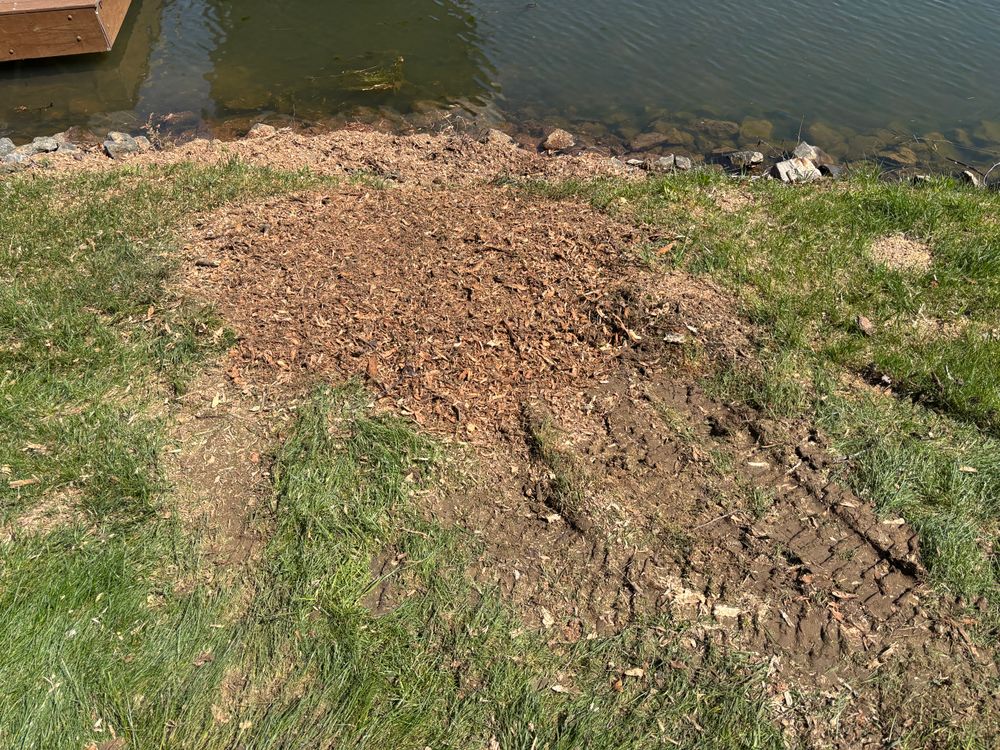 All Photos for Conrad's Stump Removal in Columbus, IN