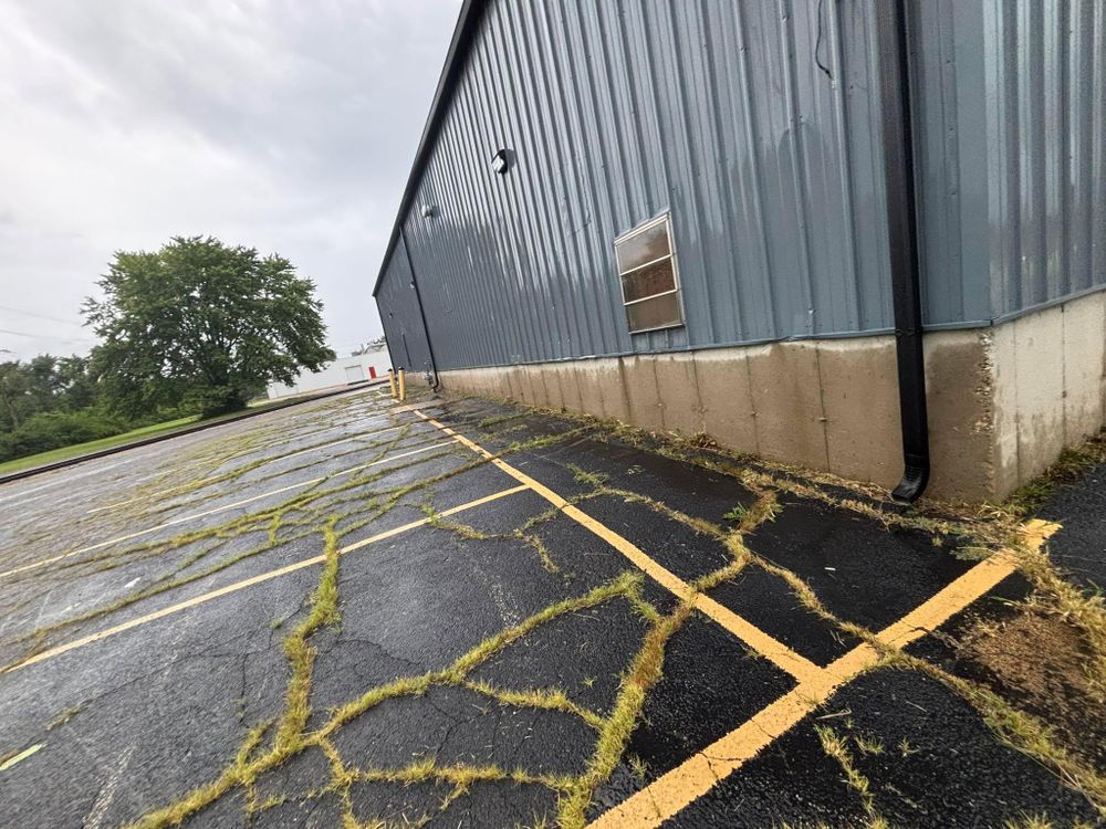 All Photos for Cena Landscaping in Rockford, IL