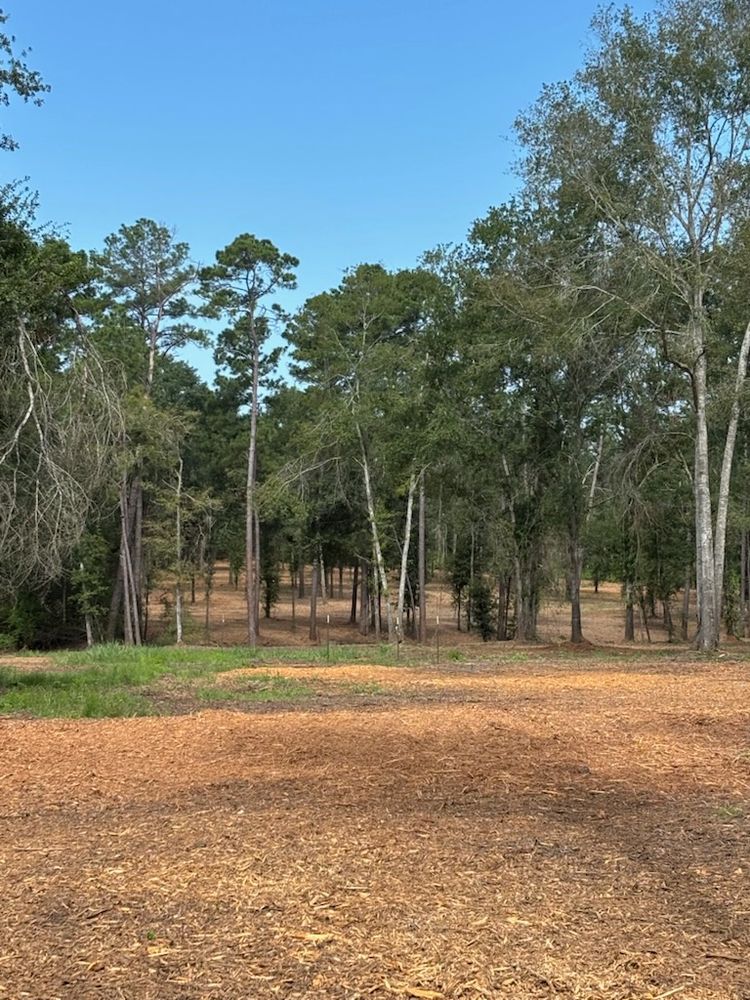 All Photos for JM Services in Woodville, TX