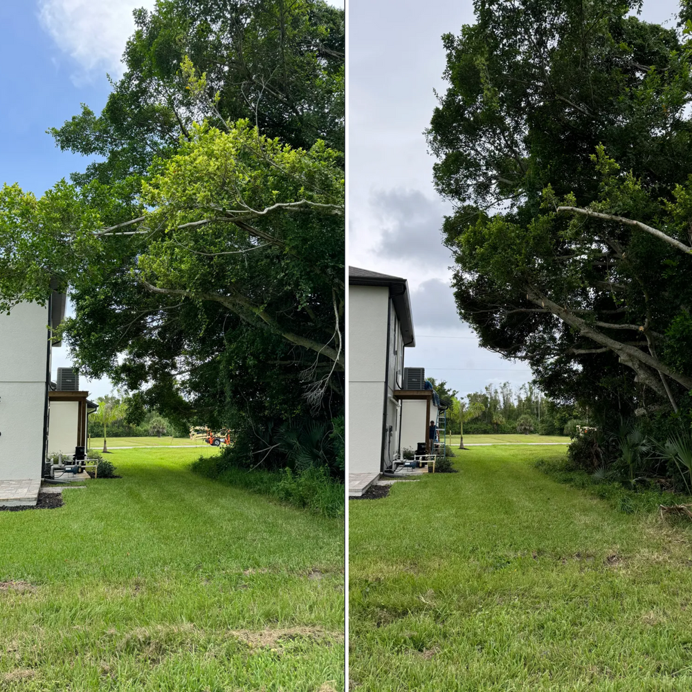 Our professional Tree Trimming service will keep your trees healthy, ensure proper growth, and enhance the appearance of your property. Trust us to maintain the beauty and safety of your landscape. for Lemon Bay Tree Service  in Englewood, FL