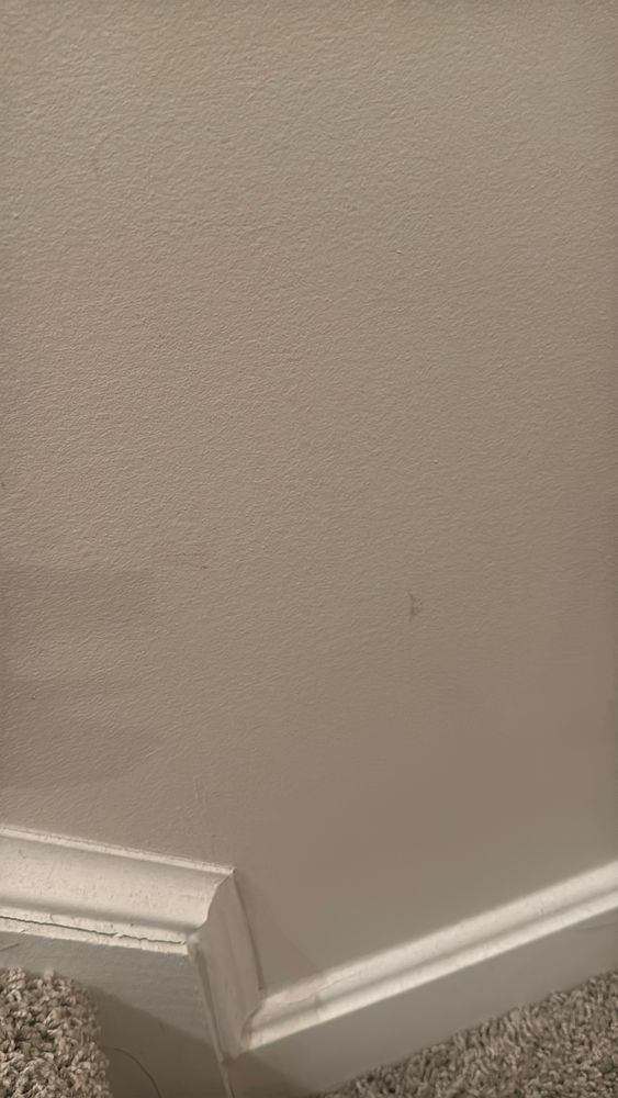 All Photos for Sanchez Paint Pros in Frederick, MD