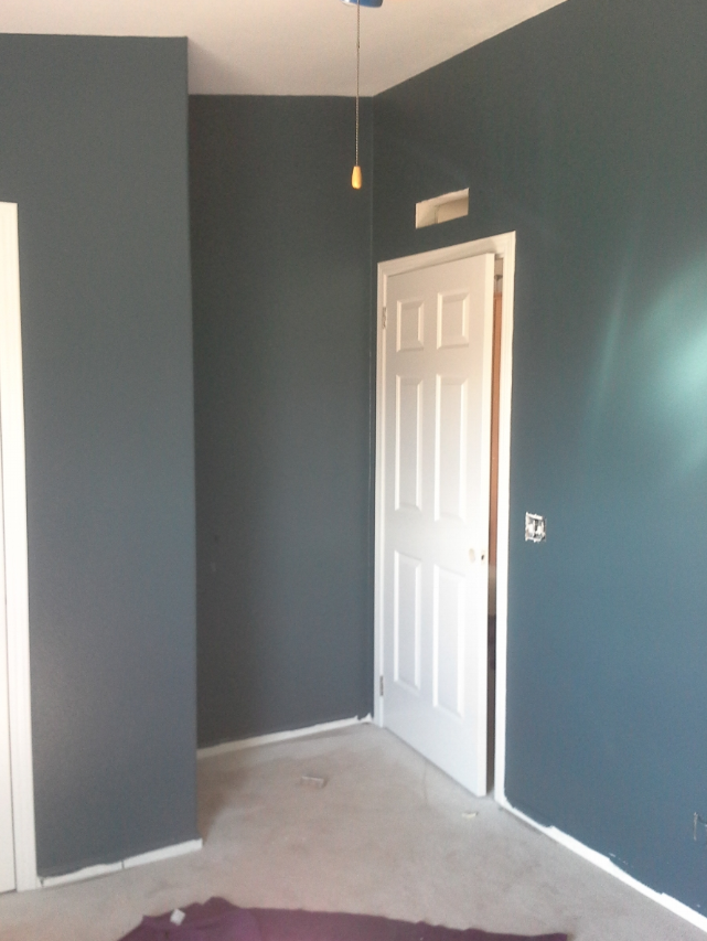 Interior painting  for Matus Painting & Finishing in Hotchkiss, CO