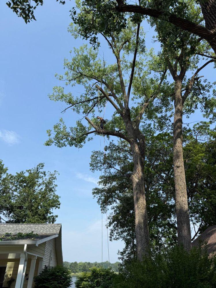 All Photos for Hunnicutt’s Tree Service L.L.C. in Monticello, IN