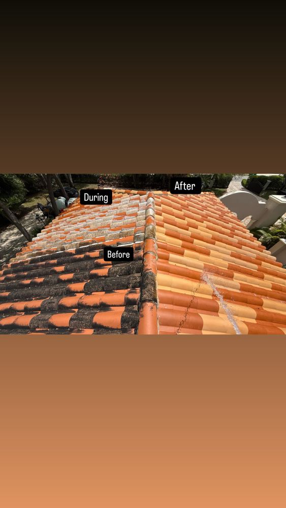 Roof SoftWashing  for Royal wash in The Woodlands, TX