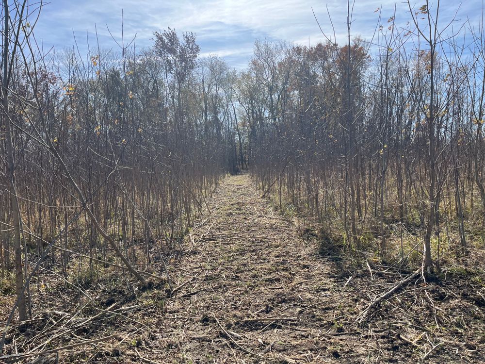 All Photos for KG Ground Development and Transportation in Newton, IL