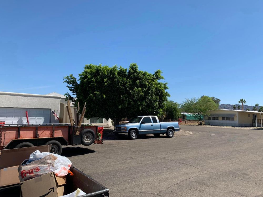 Tree Removal for Oliver L. Palm & Tree services in Yuma County, AZ