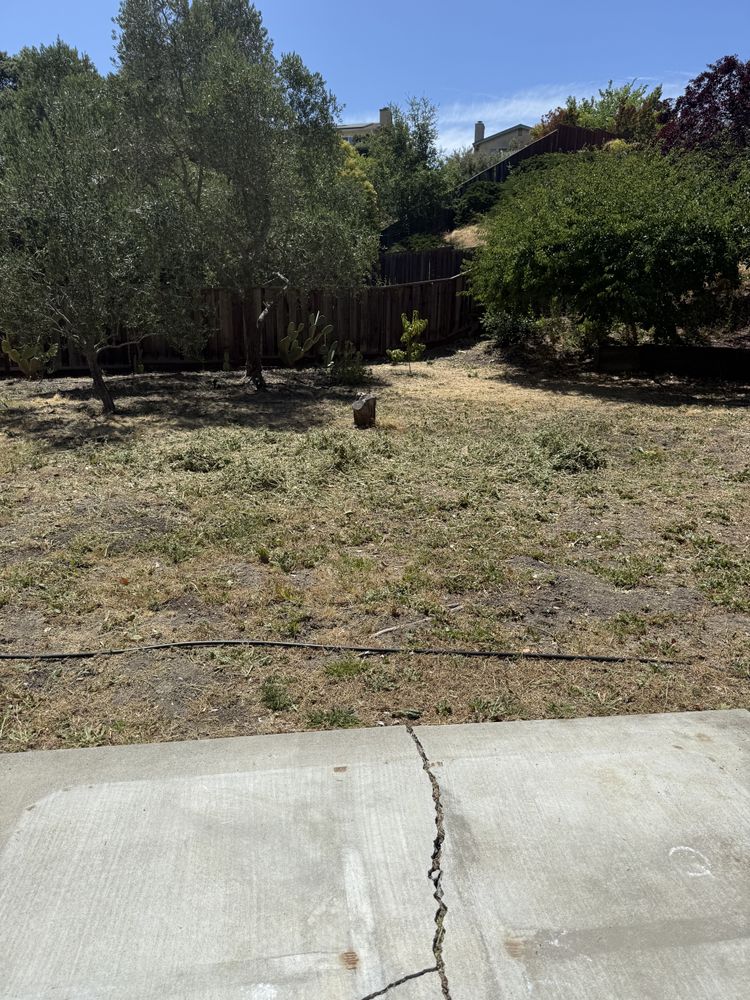 All Photos for CBA Landscaping in Hayward, CA