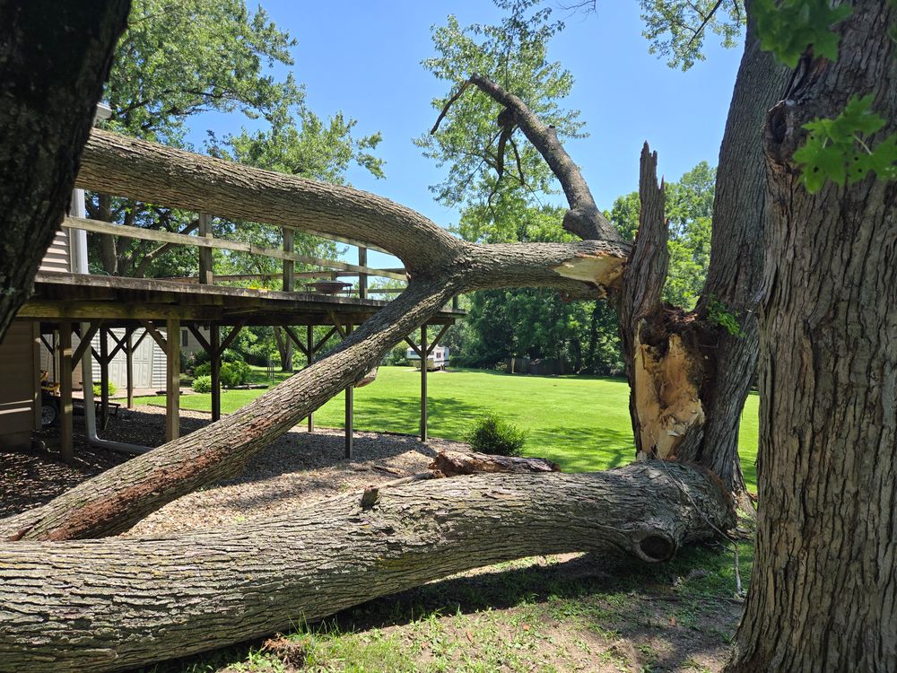 All Photos for Lawn Ranger Yard And Tree Service LLC in Ottumwa, IA