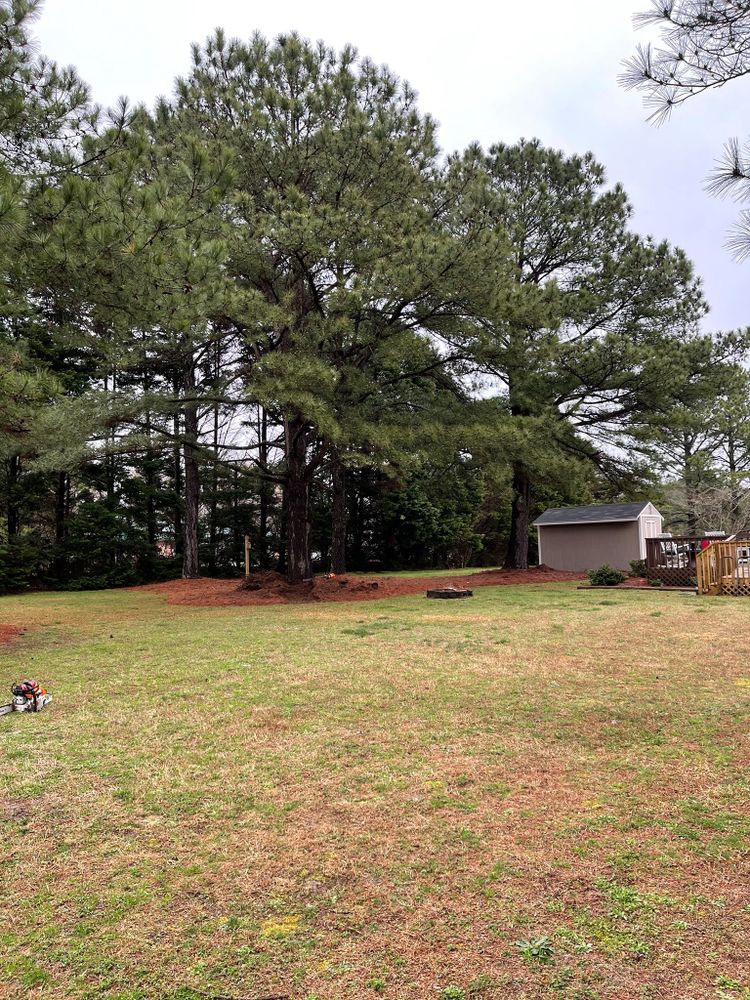 Tree Removal for Hoss Tree Works & Logging in Durham, NC