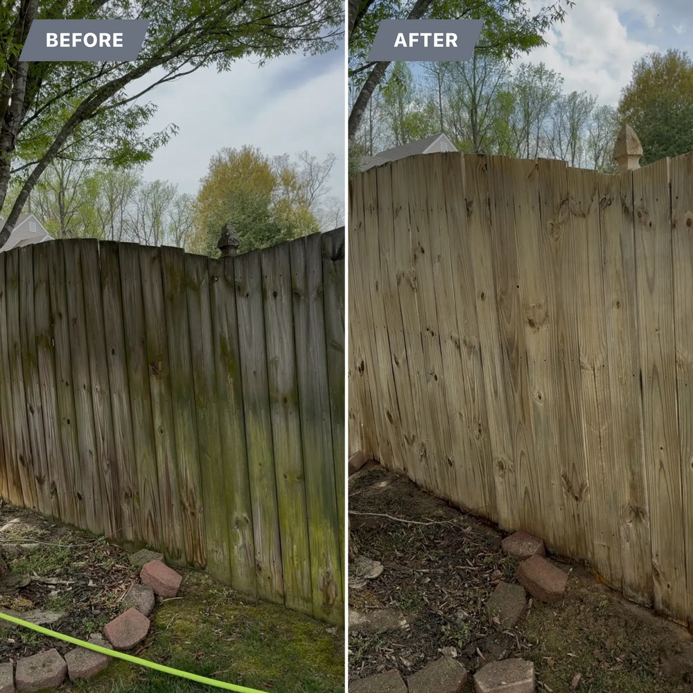 All Photos for LeafTide Solutions in Richmond, VA