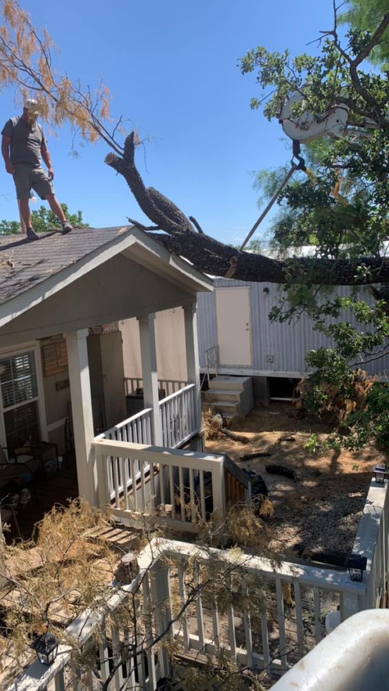 Tree Removal for Rollins Tree Service in Eastland, TX