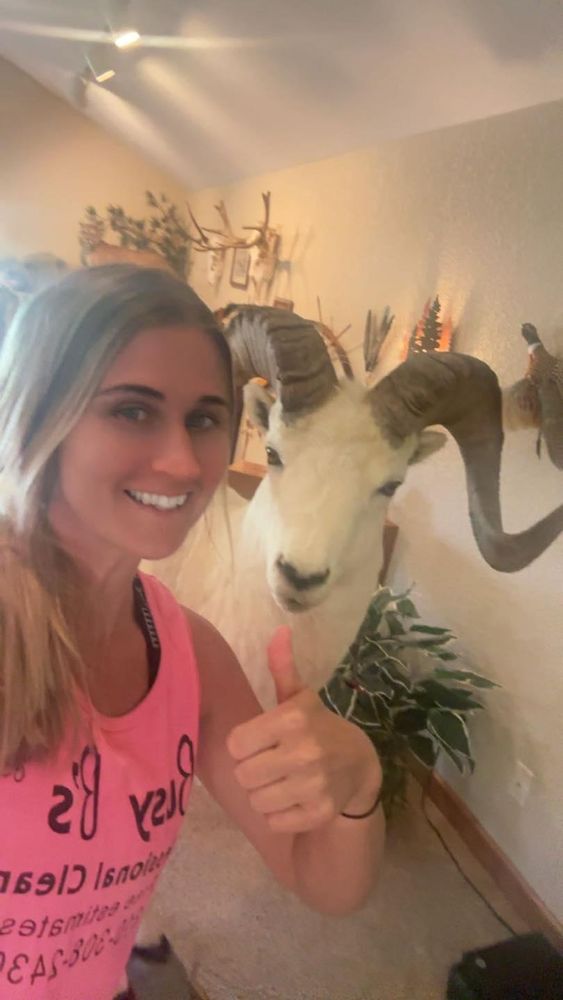 All Photos for Busy B's Professional Cleaning in Birch Run, MI