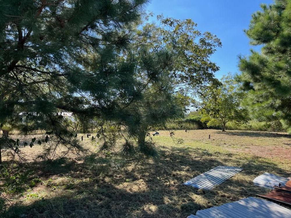 All Photos for Oviedo Land & Garden in Bastrop, TX