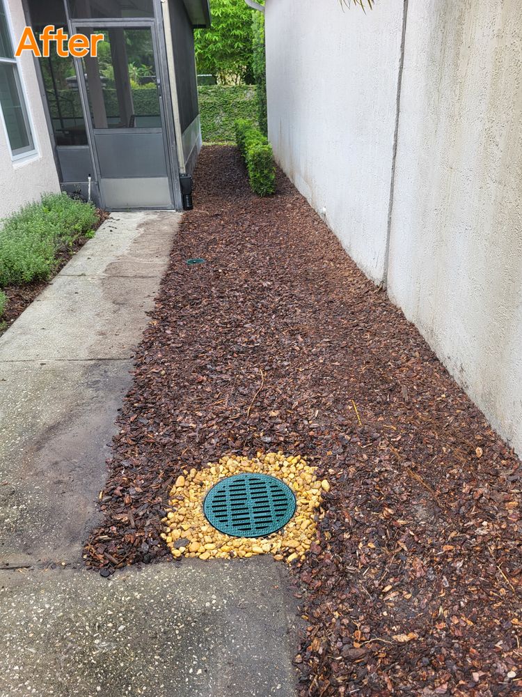 All Photos for Sam's French Drains and Landscape in Orlando, Florida