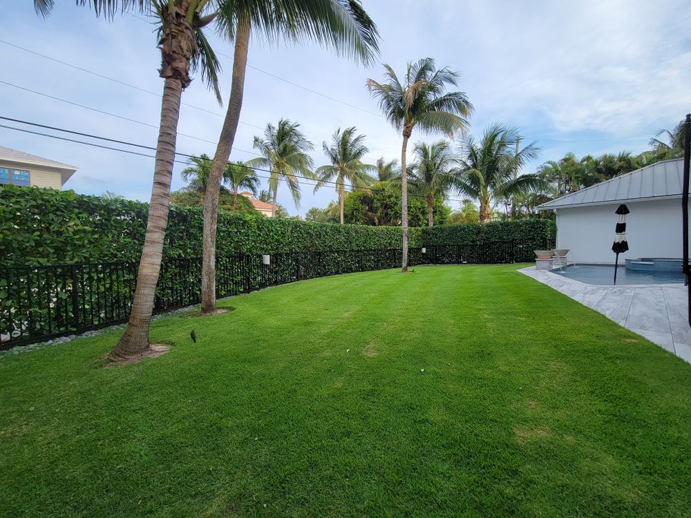 Our residential lawn care services ensure a lush, healthy lawn with tailored treatments and expert maintenance, enhancing your home's curb appeal and providing a vibrant outdoor space for relaxation and enjoyment. for L & J Palm Tree & Lawn Care Services in Jupiter, FL