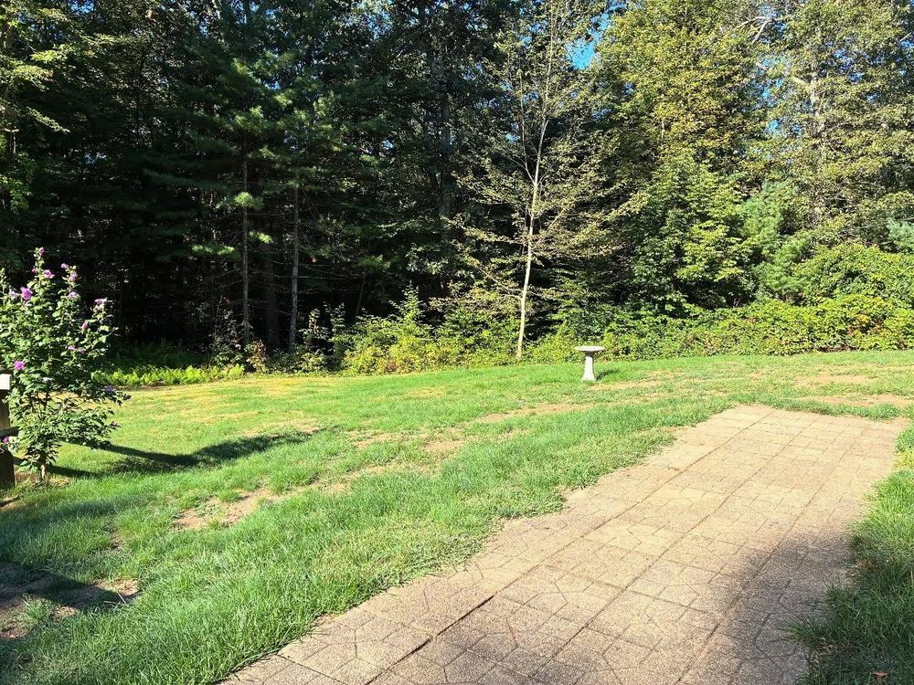 All Photos for Triple C’s Excavation in Ashford, CT