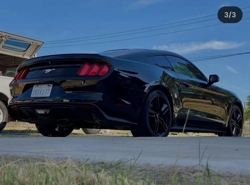 All Photos for Yuba City Mobile Car Detailing in Yuba City, CA