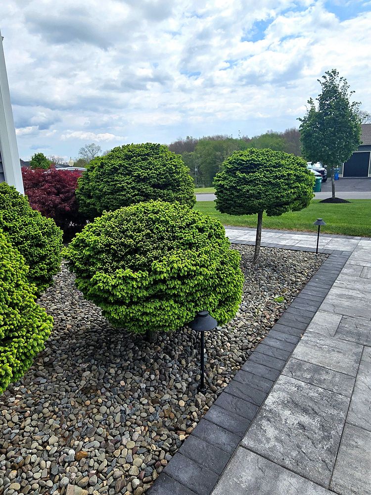 All Photos for Tony Monaco Landscaping Inc. in Orange County, NY