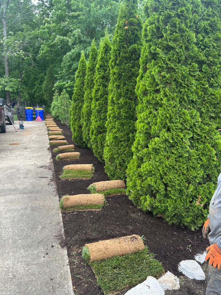 All Photos for Optimum Tree Service And Landscaping in Bowling Green, KY