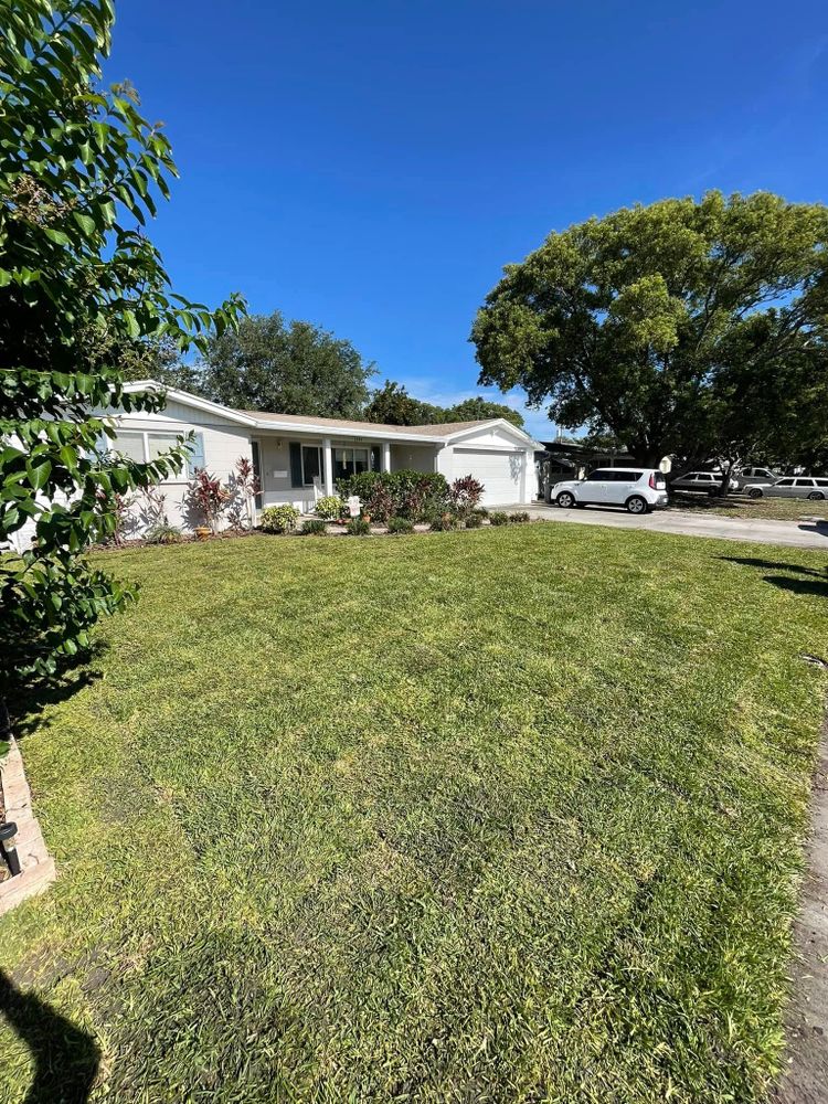 All Photos for Gulf Bay Sod in Clearwater, FL