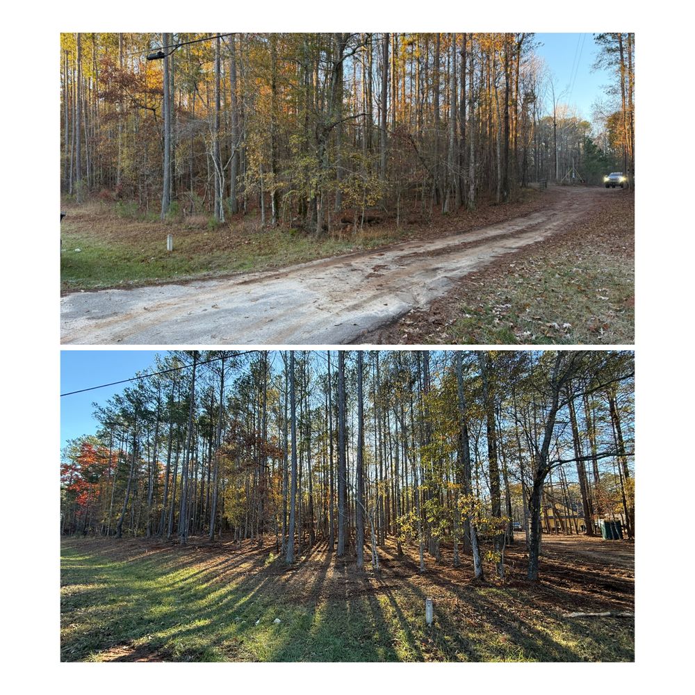 Forestry Mulching for Dirt Pro Land Solutions in Fayetteville, GA