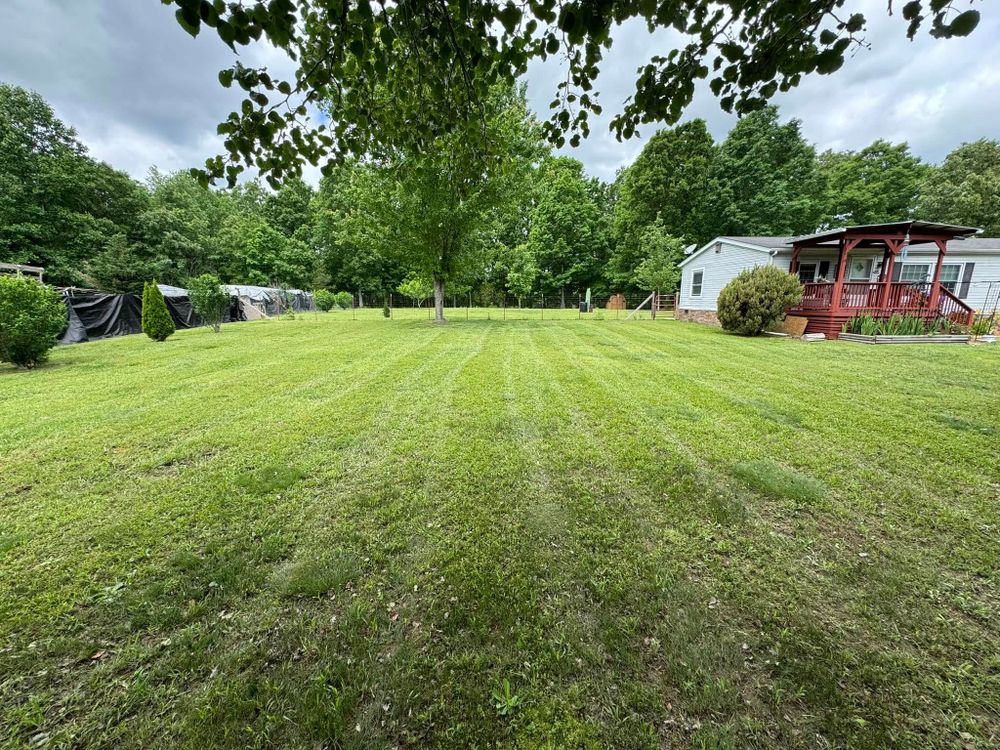 Our Lawn Maintenance service ensures a lush, healthy lawn with expert mowing, fertilization, weed control, and seasonal clean-ups. Trust us to keep your outdoor space vibrant and welcoming year-round. for Grass & Blast Lawn Care and Power Washing in Spring Hill, TN
