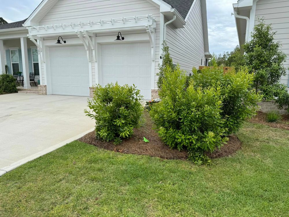 Enhance your home's curb appeal with our expert shrub trimming service, ensuring healthy growth and a polished look by shaping, pruning, and maintaining your shrubs to perfection all year round. for M&M Landscaping in Lynn Haven, FL