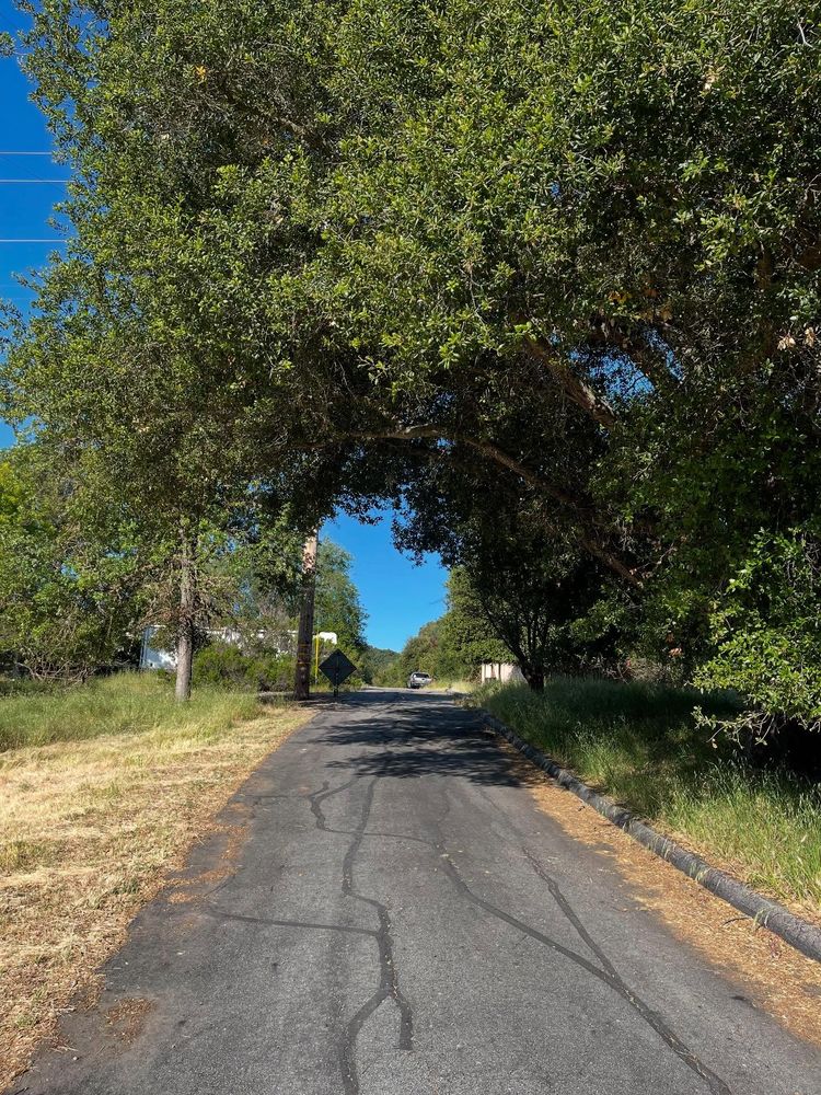 All Photos for A1 Junk & Tree Solutions, LLC in Paso Robles, CA