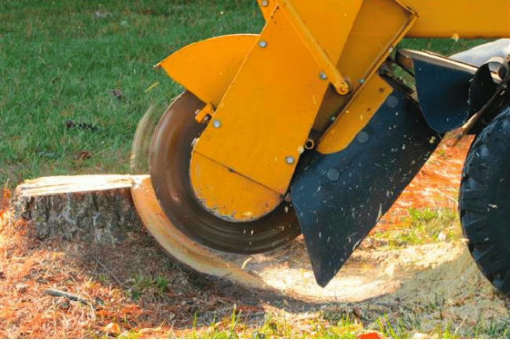 Transform your outdoor space with our expert Patio Design & Construction service, offering customized solutions that blend beauty and functionality to create the perfect setting for relaxation and entertainment. for Wright Lawn Services in Ozark, MO