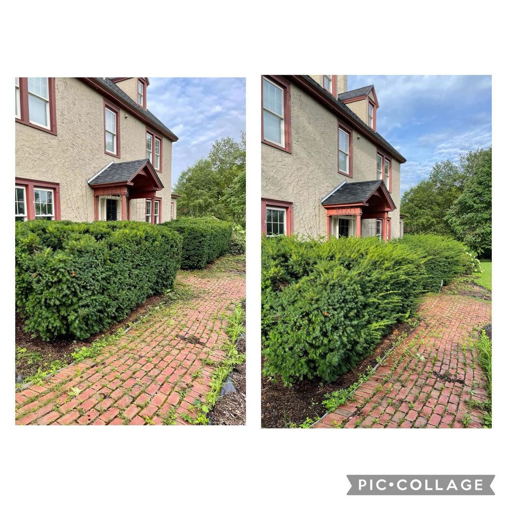 All Photos for Bishop’s Property Maintenance in Franklin, VT