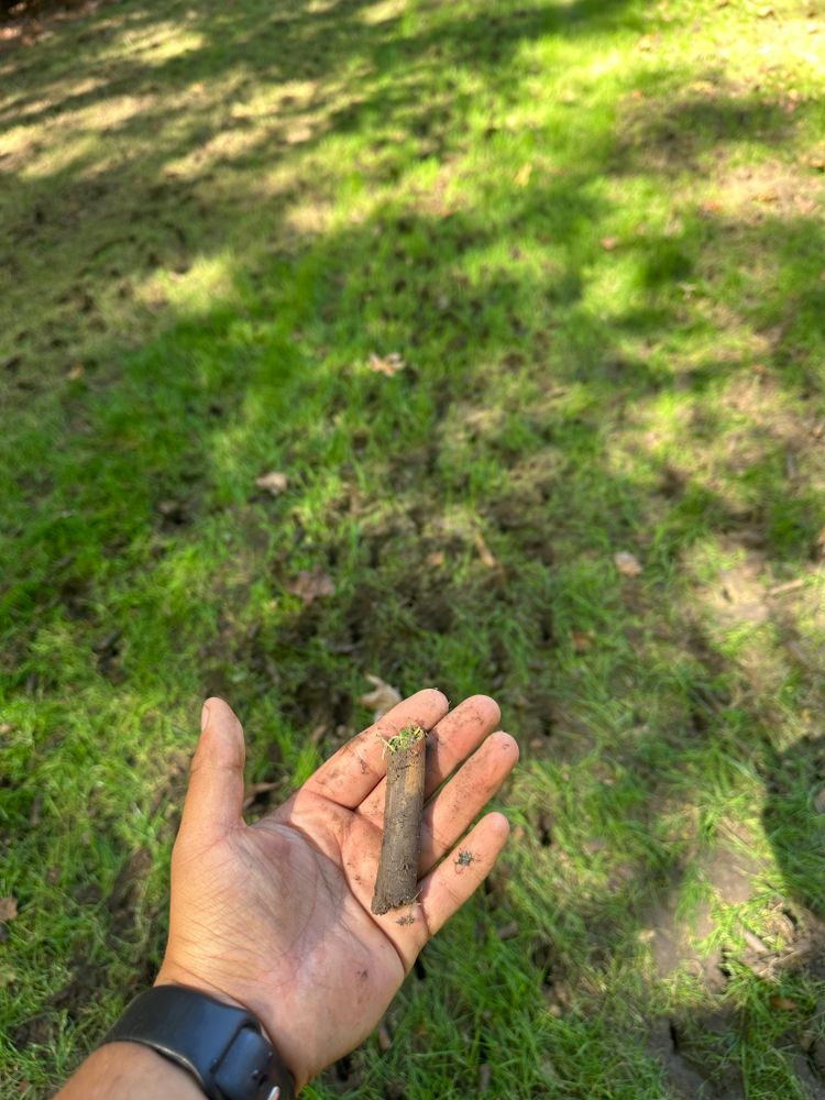 Revitalize your lawn with our overseeding service, filling in bare patches and enhancing grass density. Enjoy a lush, vibrant landscape year-round with expert care tailored to your home's needs. for Pecina Pine Needles in Monroe, NC