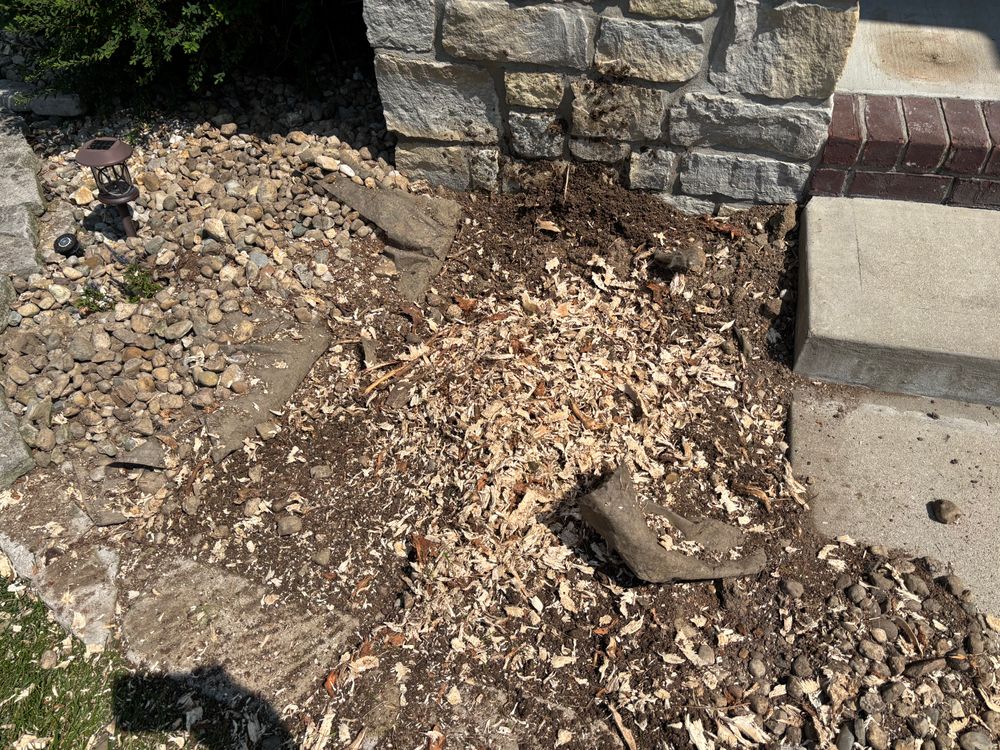 All Photos for Conrad's Stump Removal in Columbus, IN