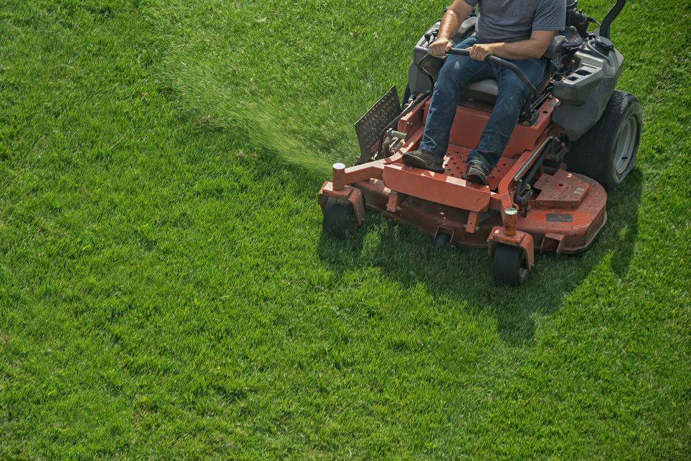 Lawn and landscape for Appealio in Gainesville, FL