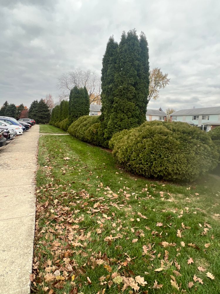 All Photos for Mark’s Mowing & Landscaping LLC  in Ashville, OH