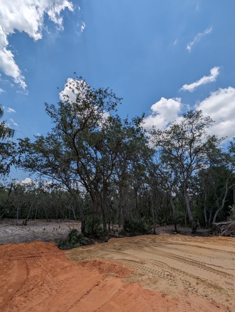 All Photos for Regal Tree Service and Stump Grinding in Wauchula, FL