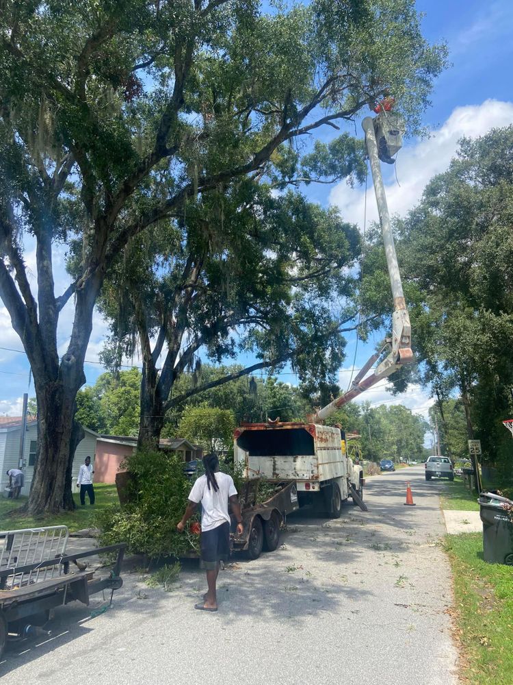 Fall and Spring Clean Up for Efficient and Reliable Tree Service in Lake Wales, FL