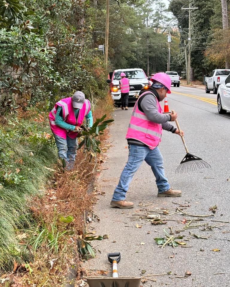 Our Residential Landscaping service offers homeowners professional assistance and expertise in designing and maintaining beautiful landscapes for their homes, enhancing curb appeal and creating outdoor living spaces. for Pink Pelican Tree Service & Landscaping in Columbia, SC