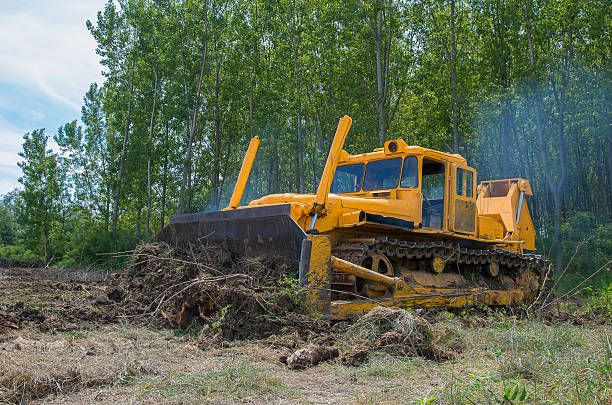 Our land clearing services remove brush, trees, and debris to prepare your property for landscaping, construction, or improved safety—delivering a clean, usable space with efficient professional care. for Prestige Landscaping & Lawn Services LLC in Anderson, IN