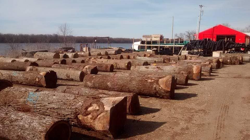 Logging for Pure Iowa Logging in Cedar Rapids, Iowa