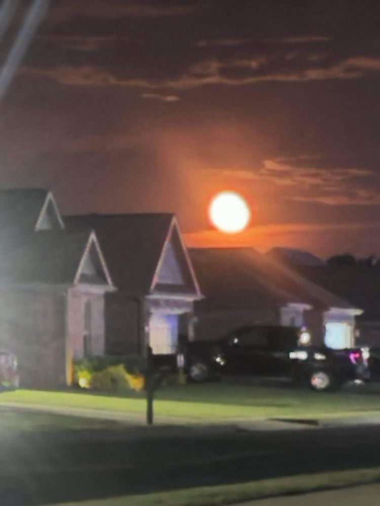 All Photos for Natural State Deck Builders in Pea Ridge, AR