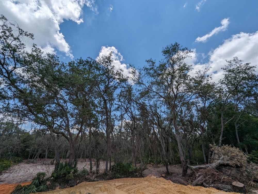 All Photos for Regal Tree Service and Stump Grinding in Wauchula, FL