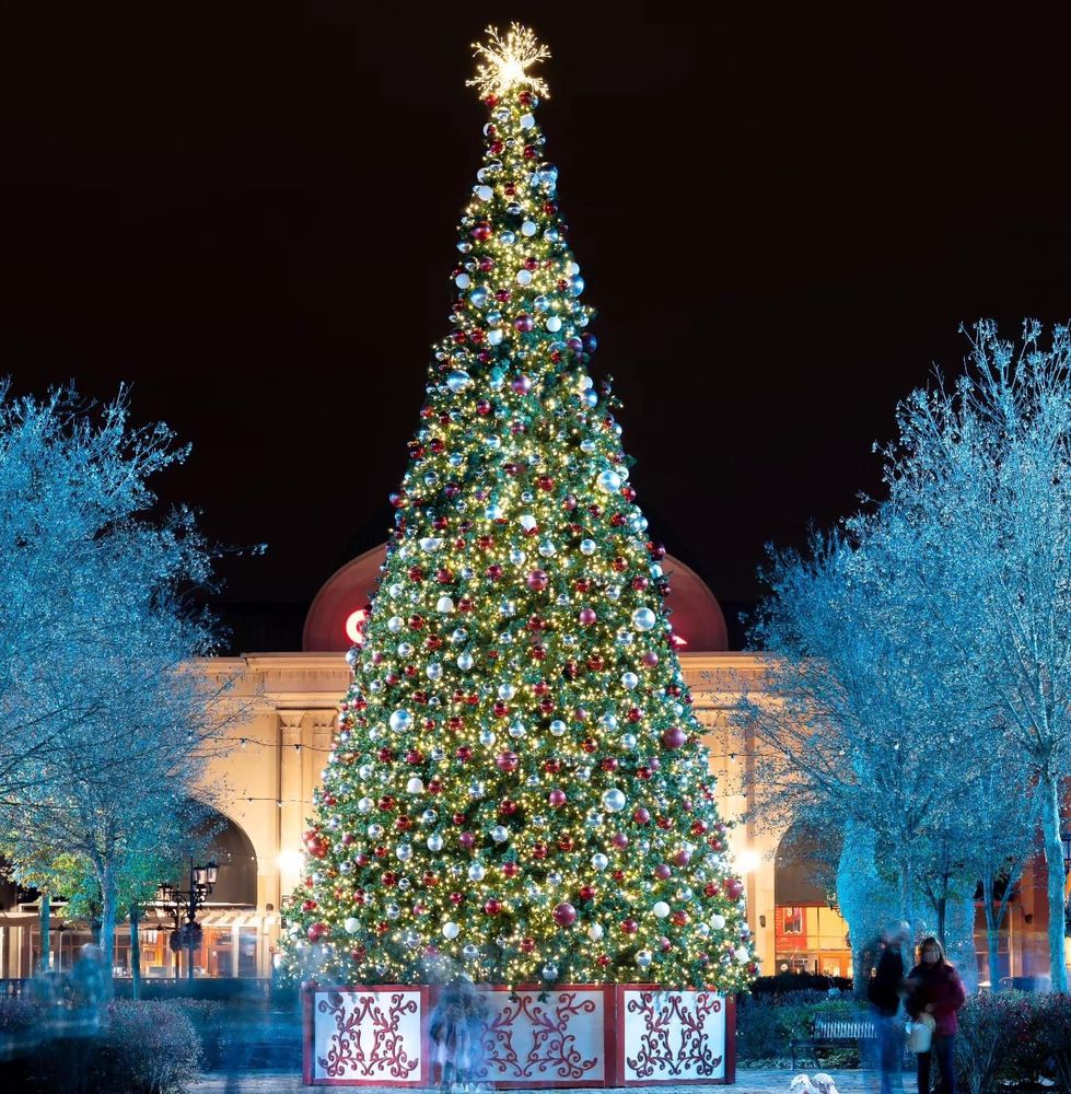 All Photos for Holiday Lighting Solutions in Huntsville, AL