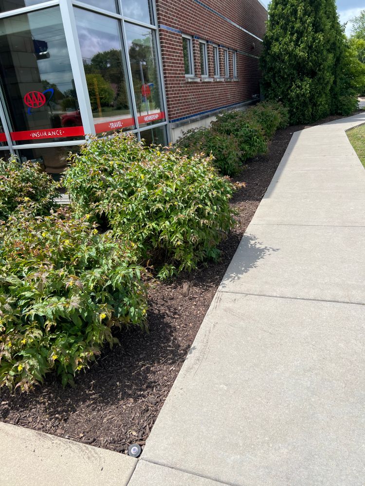 Landscaping for Trim Seasonal Services in Milwaukee, WI